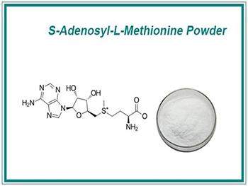 How Does S-Adenosylmethionine Work?